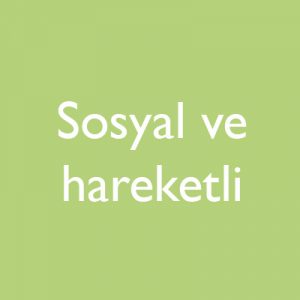 sosyal-300x300