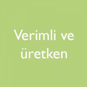 verimli-300x300