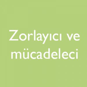 zormüc-300x300