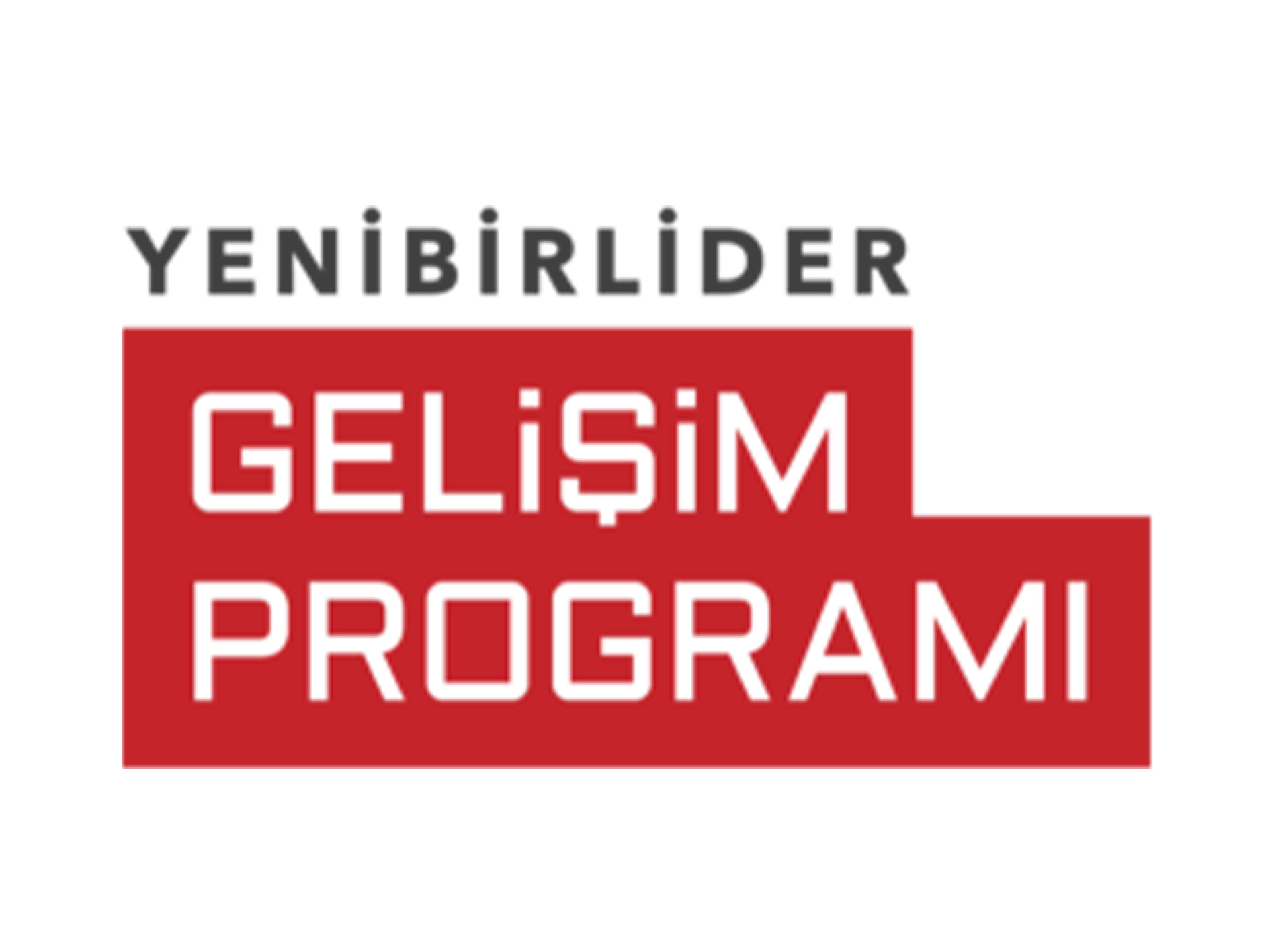 Yenibirlider Dijital Liderlik Yetkinliği Sertifika Programı