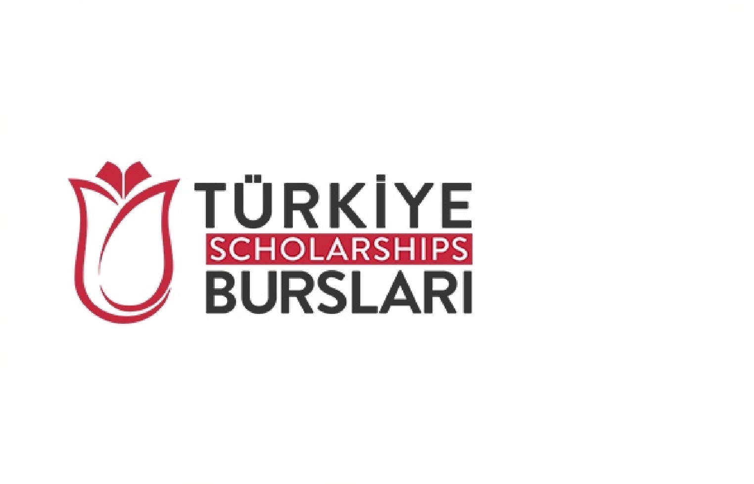 Türkiye Bursları Başarı Bursu Başvuruları Başladı