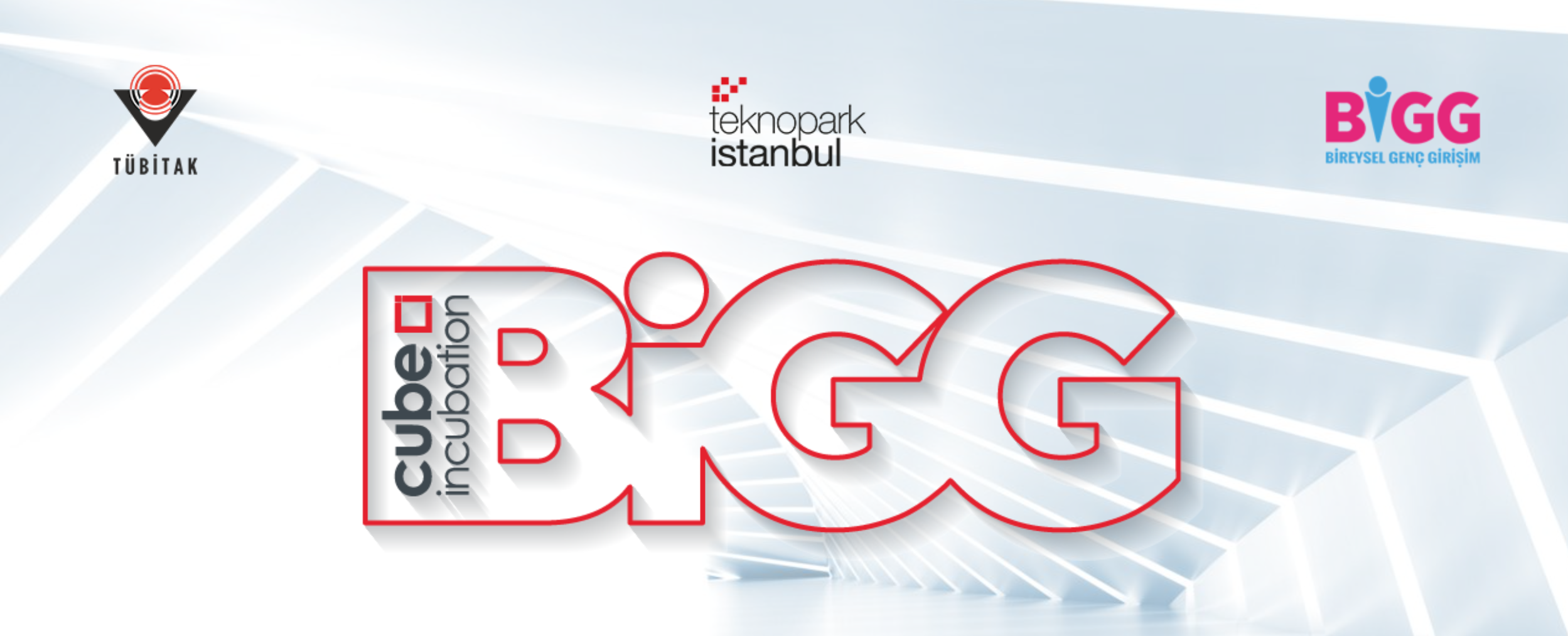 Teknopark İstanbul BİGG Başvurusu