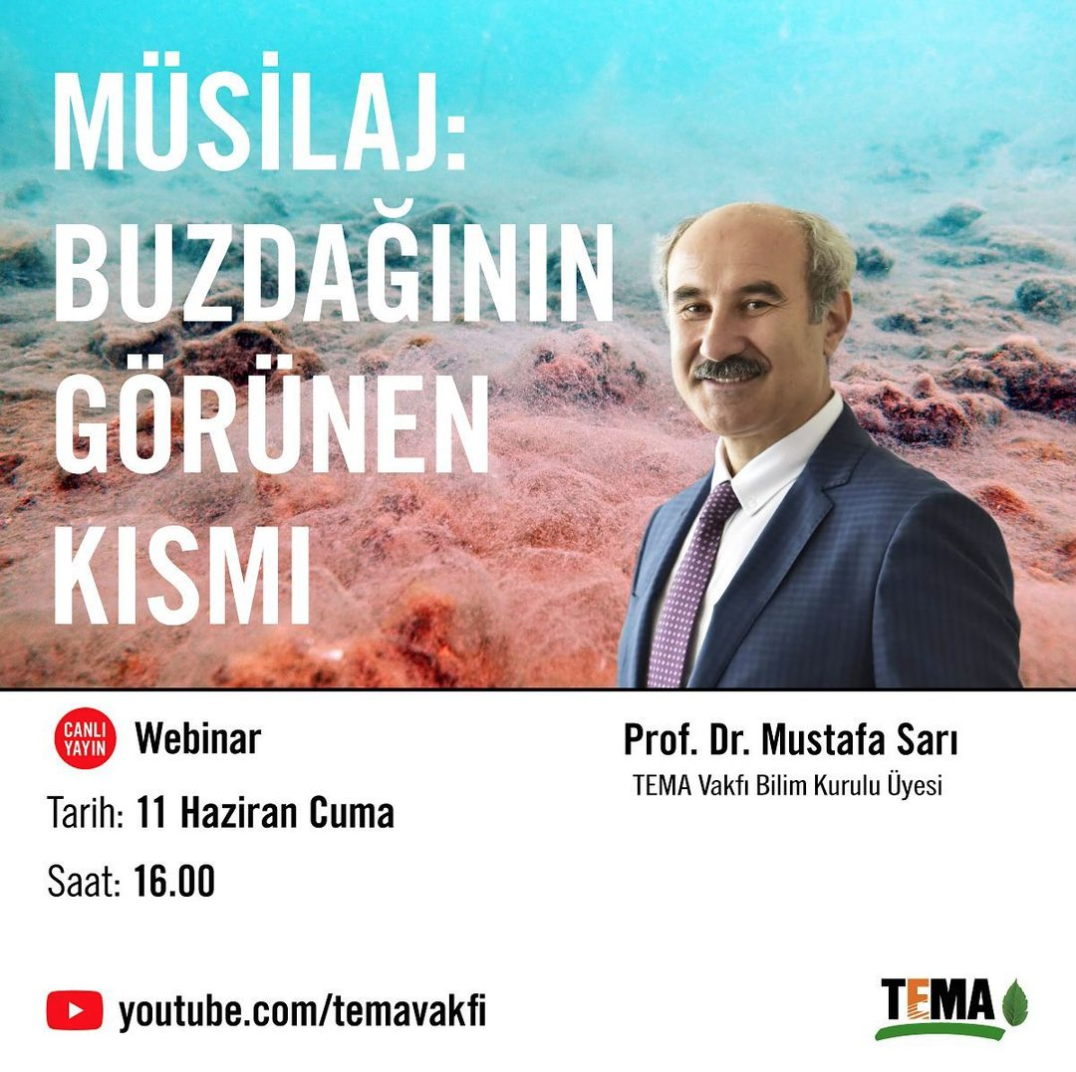 Müsilaj: Buzdağının Görünen Kısmı